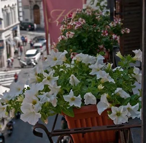 Hotel Concordia 3*